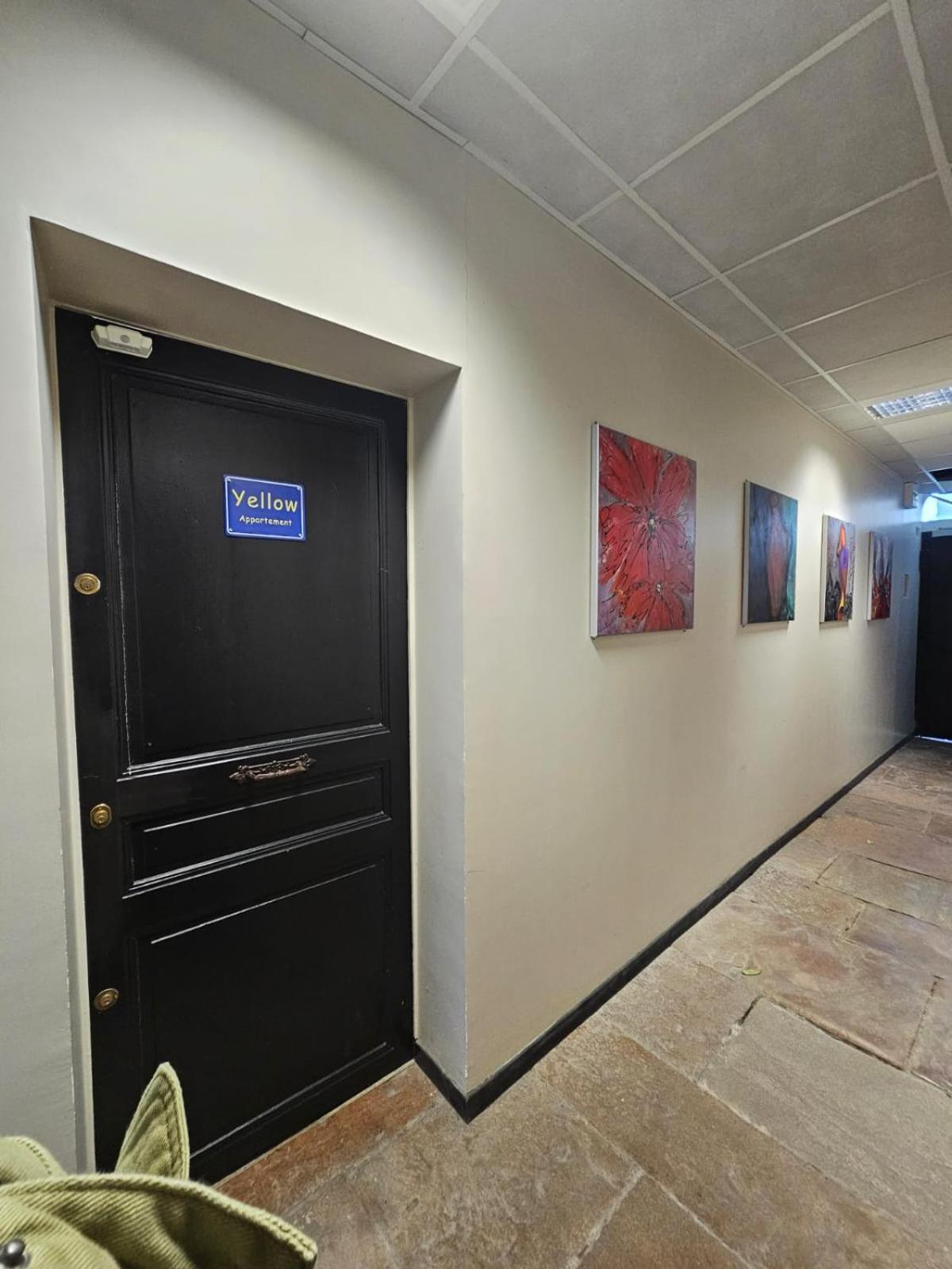 Rez De Chaussee Appartement A Tournus - Yellow Екстериор снимка